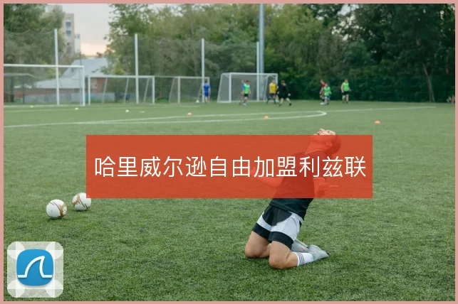 哈里威尔逊自由加盟利兹联