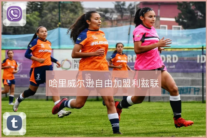 哈里威尔逊自由加盟利兹联