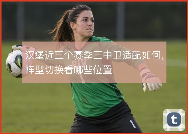 汉堡近三个赛季三中卫适配如何,阵型切换看哪些位置